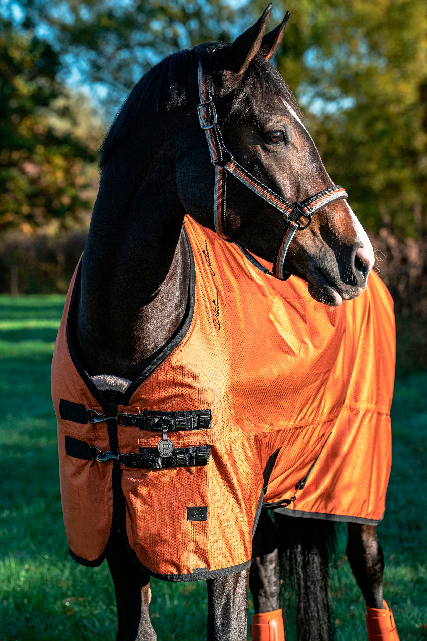 Eskadron Turnout Rug Alpha 1200D Platinum