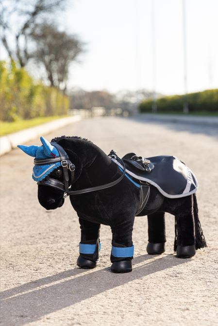 LeMieux Mini Pony Exercise Sheet
