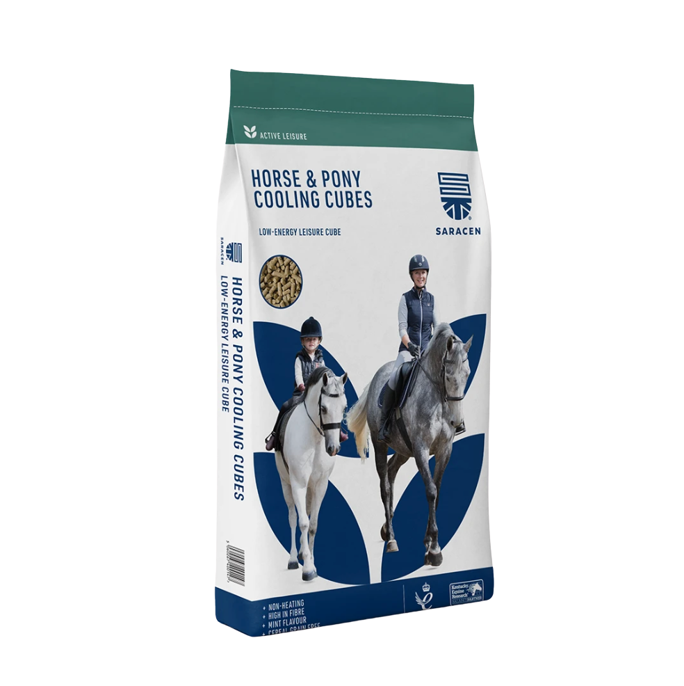 Saracen Horse & Pony Cooling Cubes - Bestillingsvare