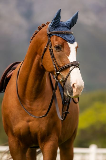 LeMieux Classic Fly Hood - OUTLET