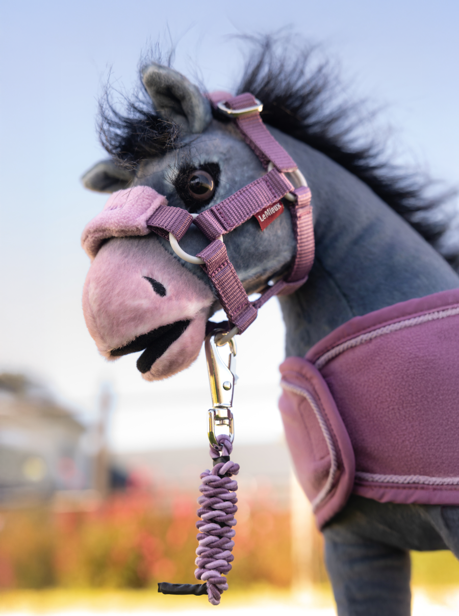LeMieux Mini Pony Grime