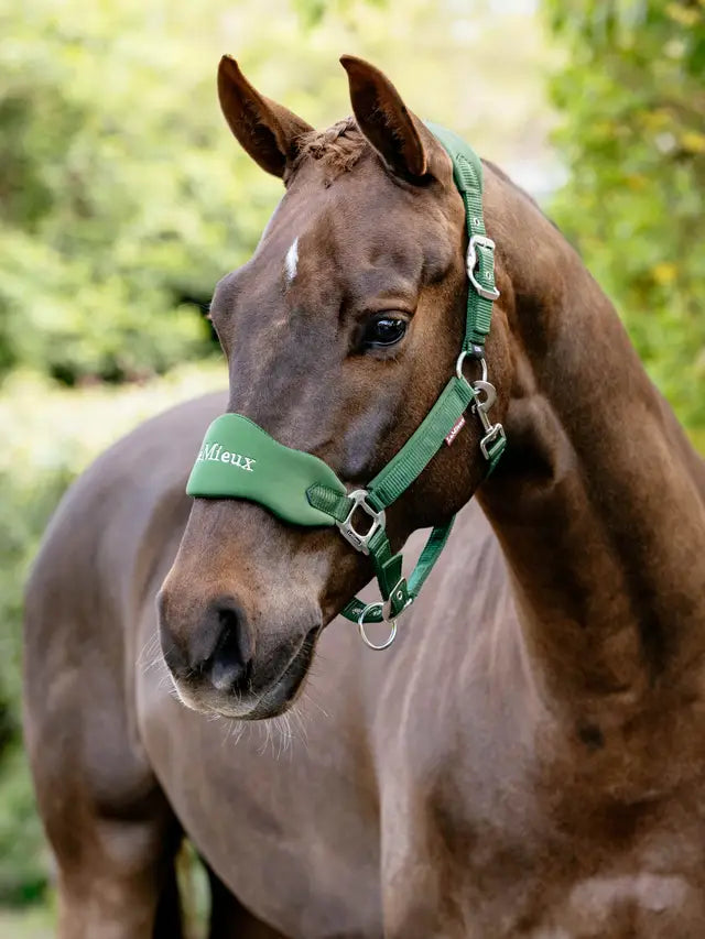 LeMieux Breakaway Vogue Headcollar