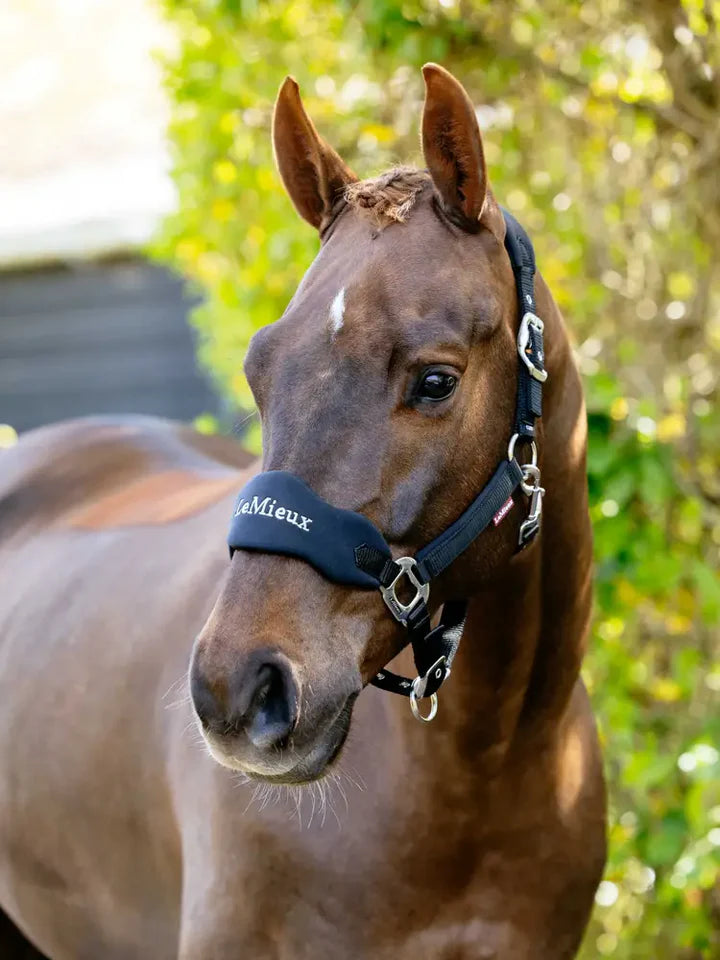 LeMieux Breakaway Vogue Headcollar