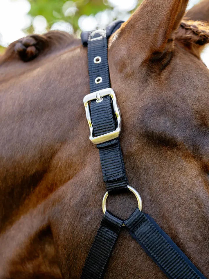 LeMieux Breakaway Vogue Headcollar