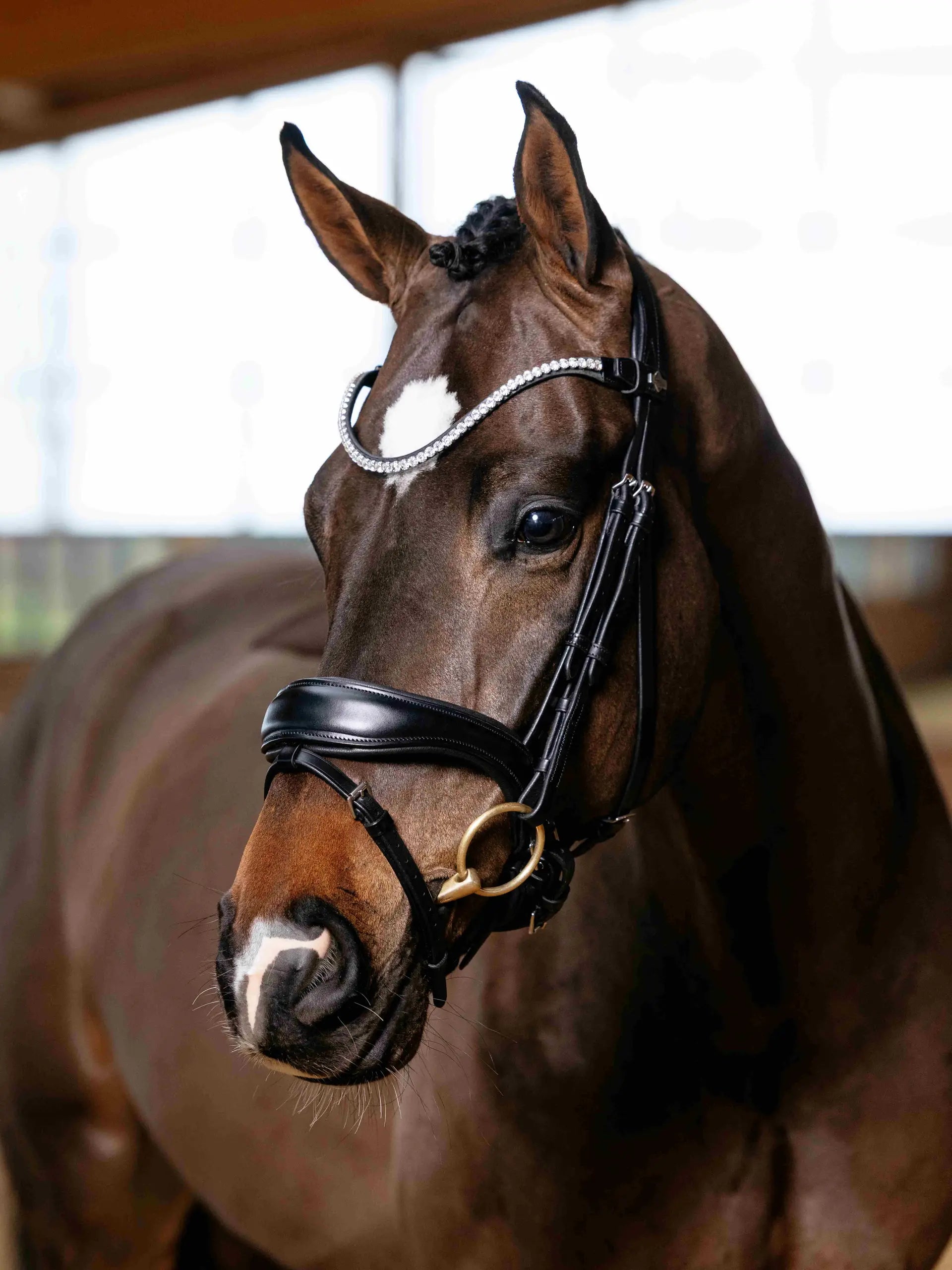 LeMieux Kudos Anatomic Dressage Bridle