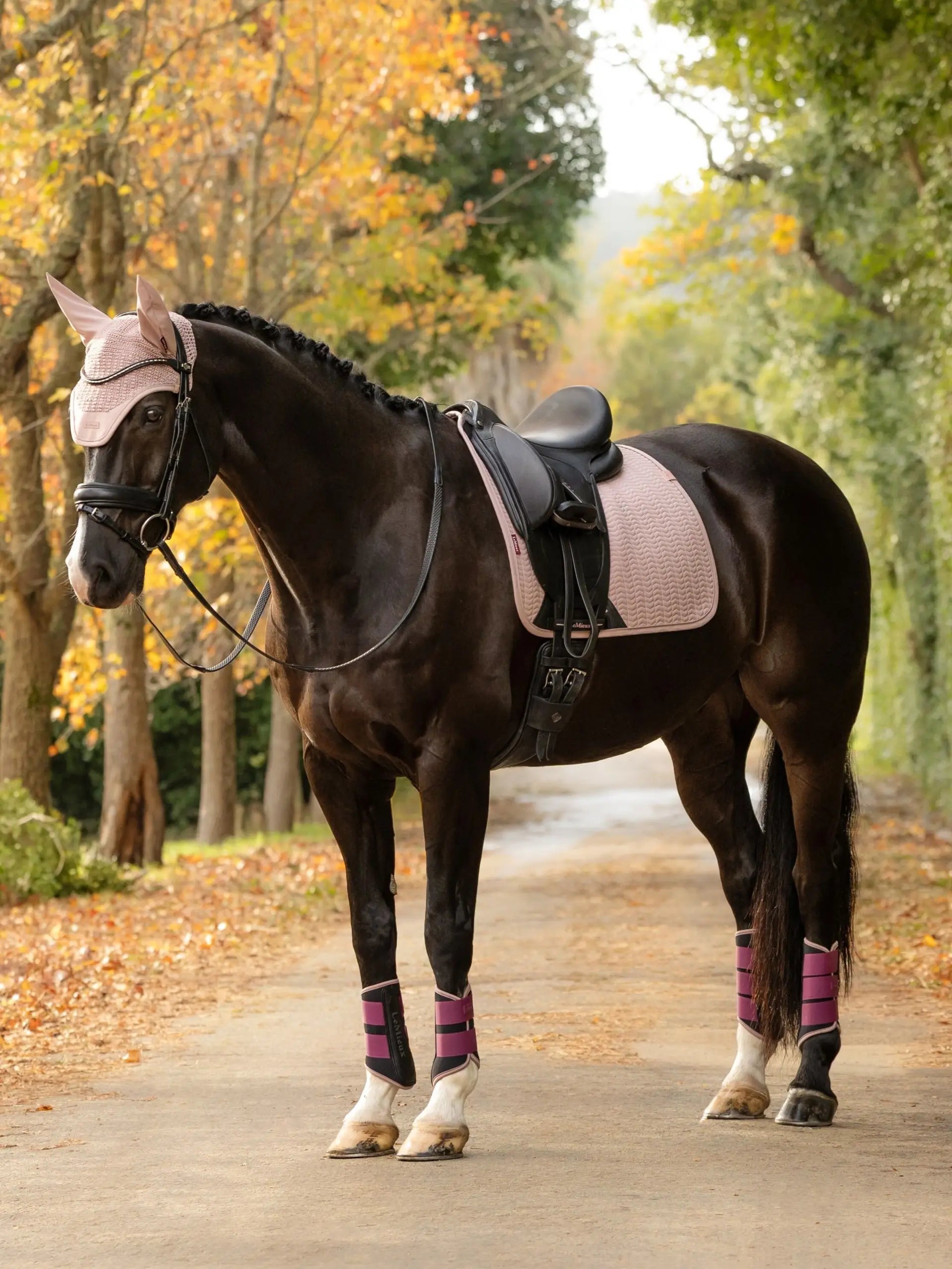 LeMieux Essence Dressurunderlag
