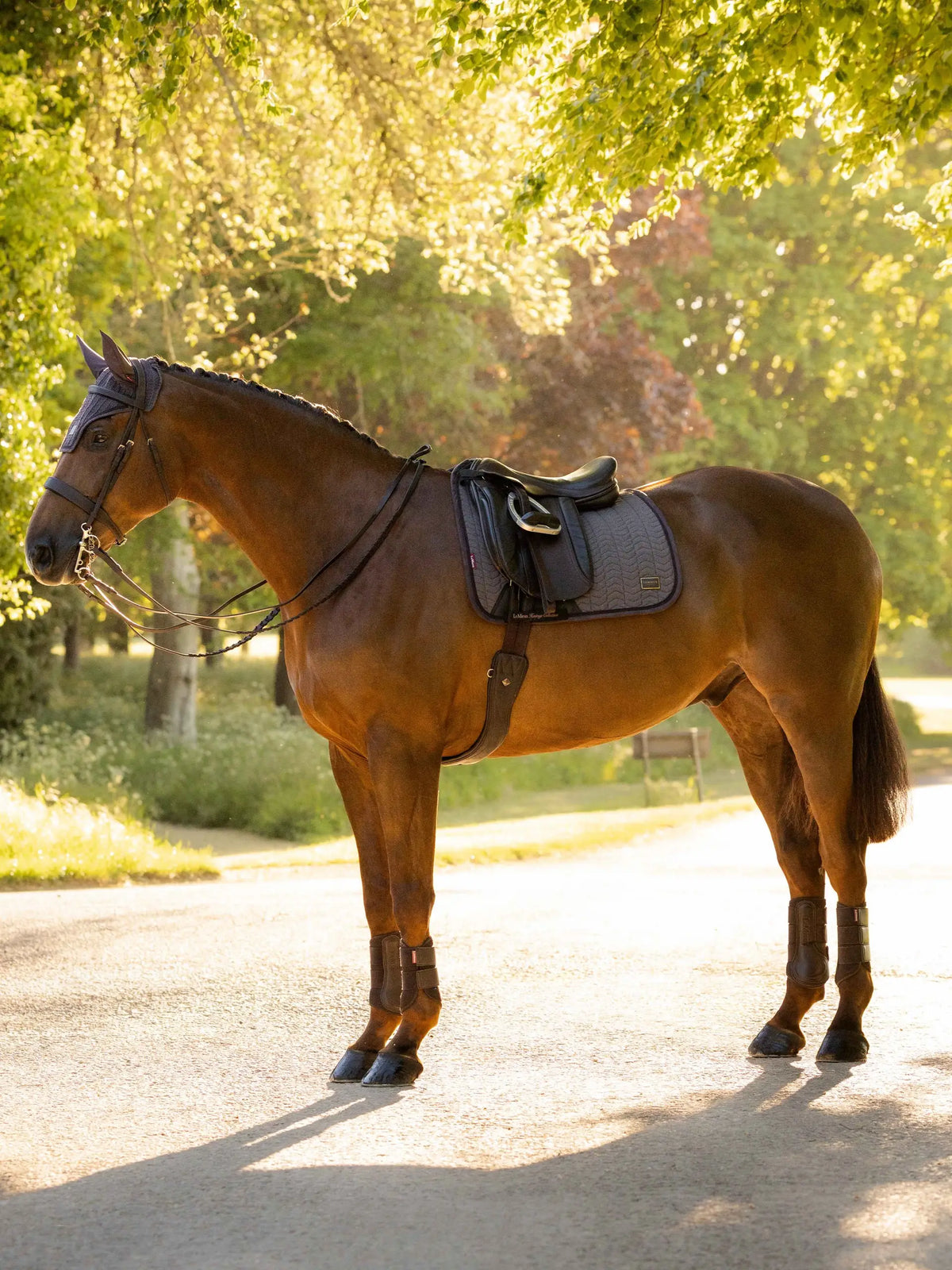 LeMieux Heritage Dressage Saddlepad