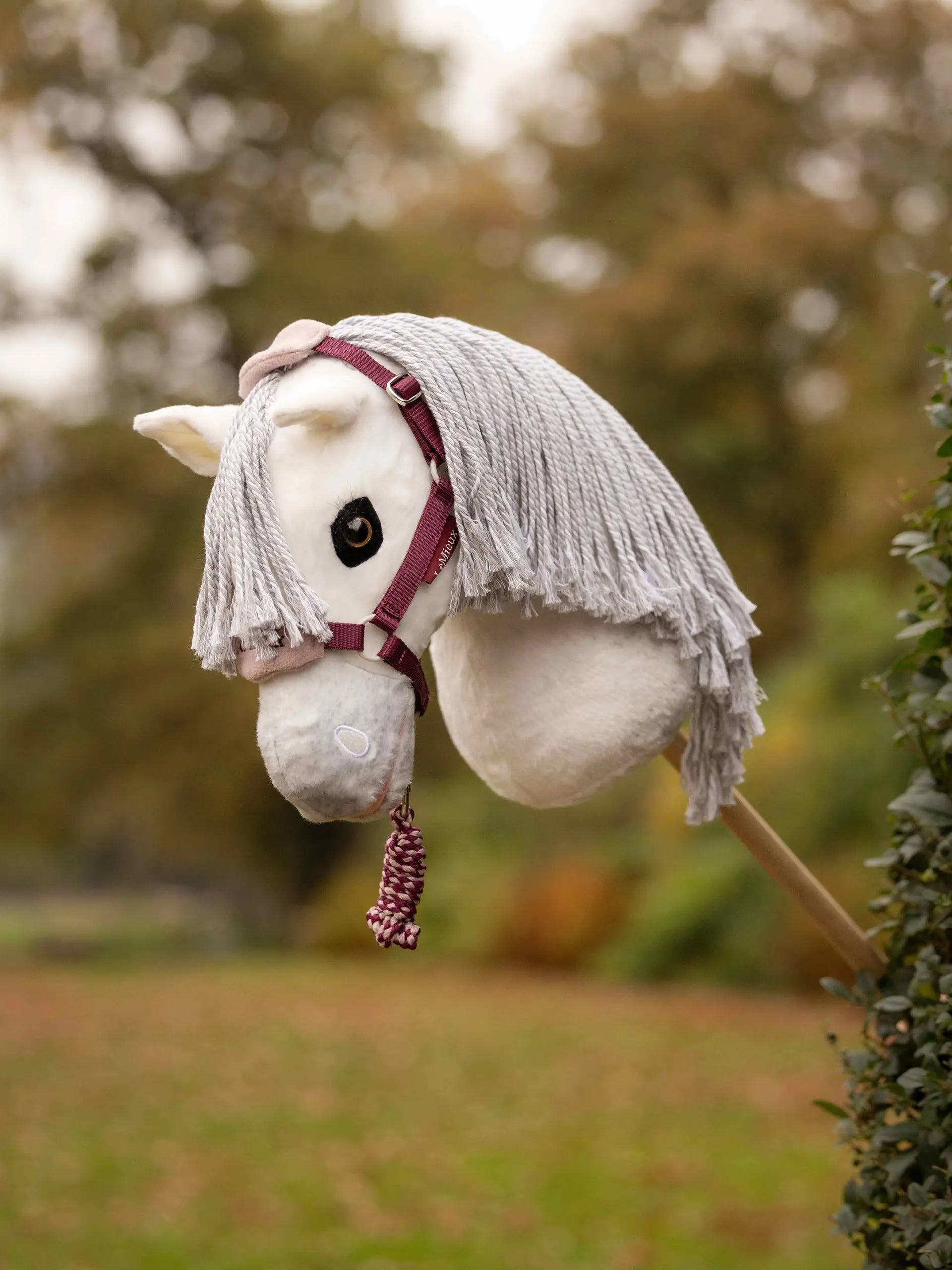LeMieux Hobby Horse Grime