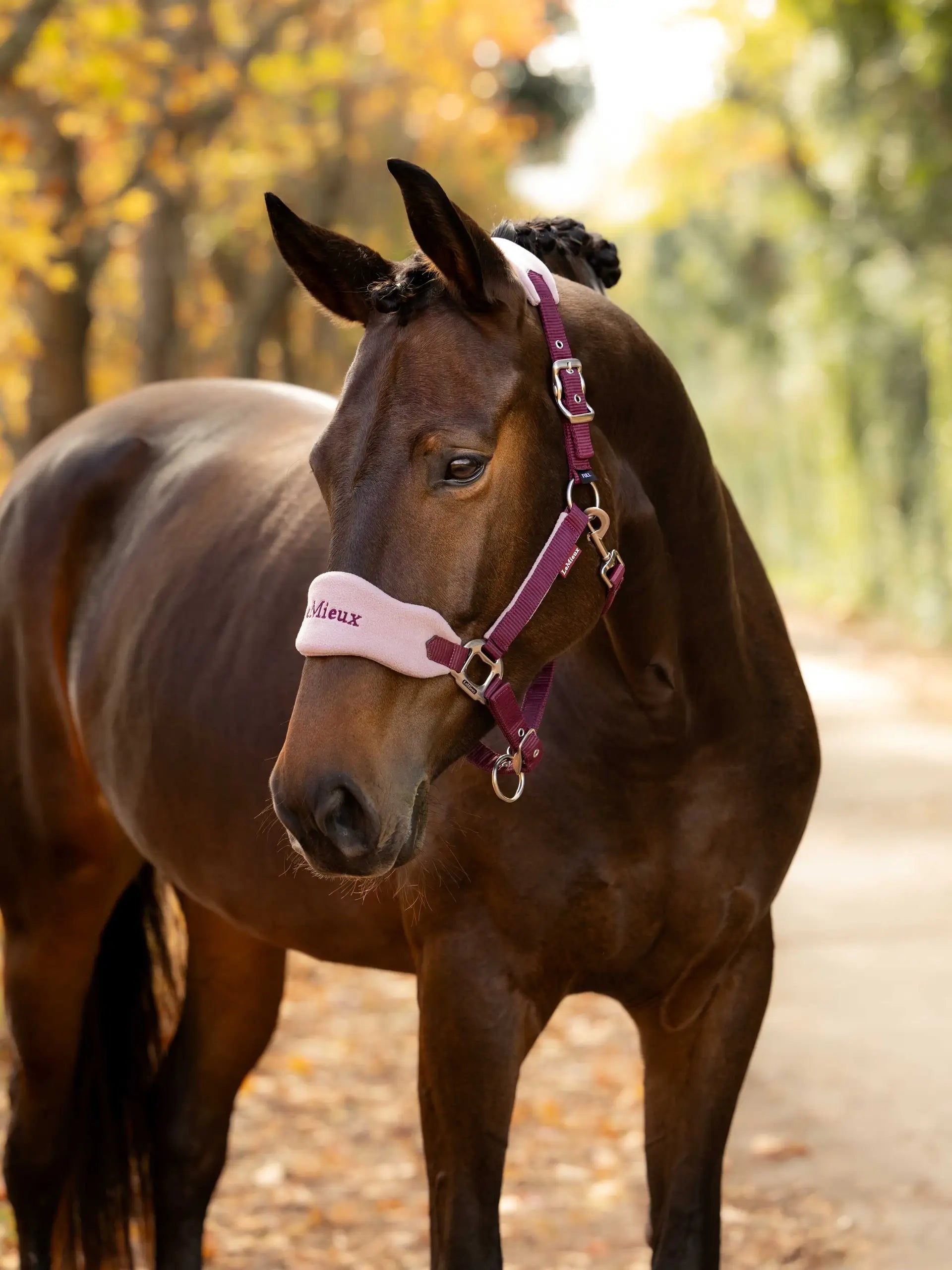 LeMieux Breakaway Vogue Headcollar