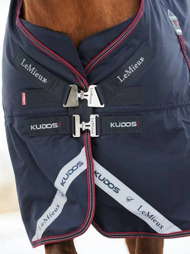 LeMieux Kudos Turnout Rug 350g.