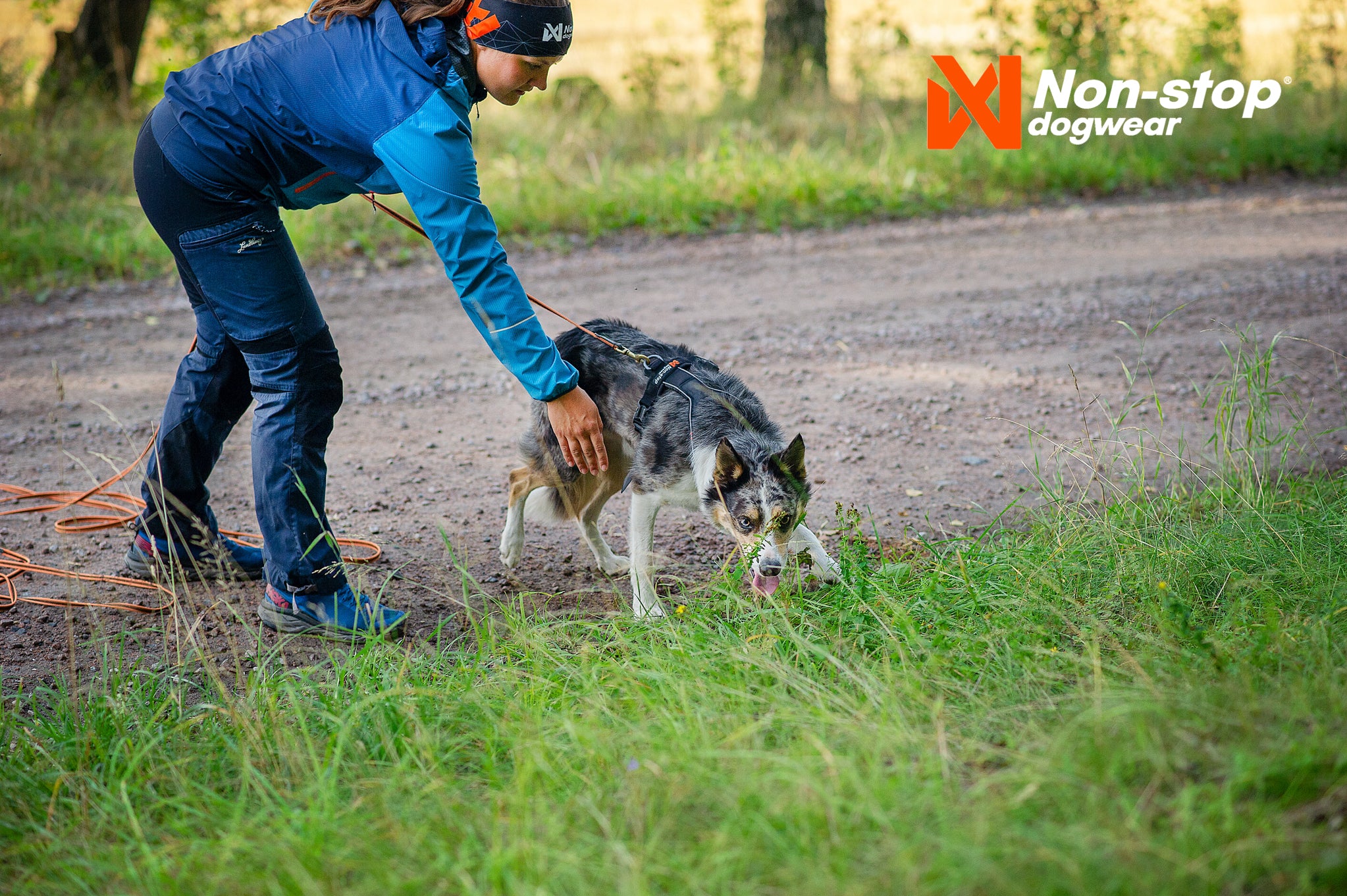 Non-Stop Dogwear Line 5.0 Sele