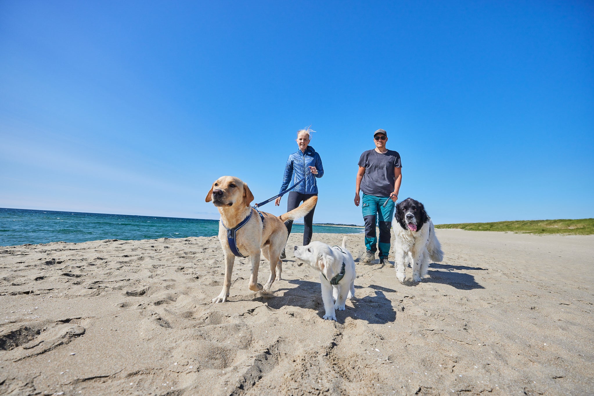 Non-Stop Dogwear Line 5.0 Sele