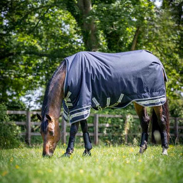 LeMieux Core Arika Featherweight Rug 0g.