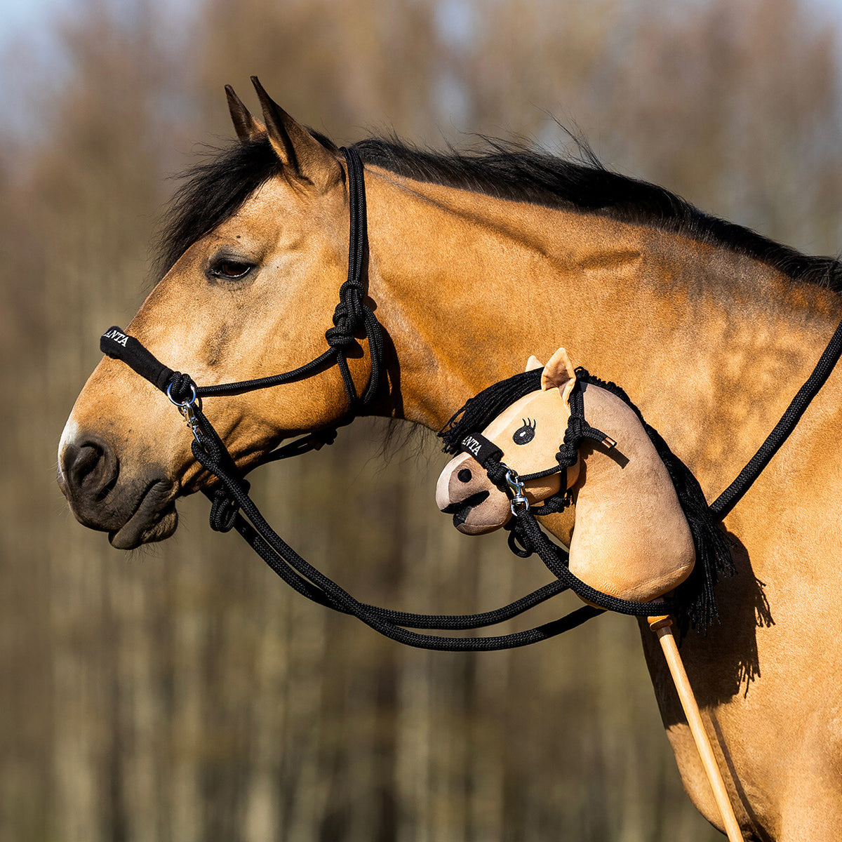 QHP Hobby Horse Nalanta Rope Halter with Rein