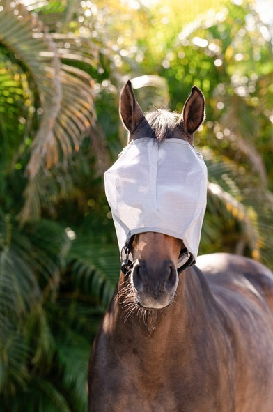 Horseware Amigo No Ears Flymask