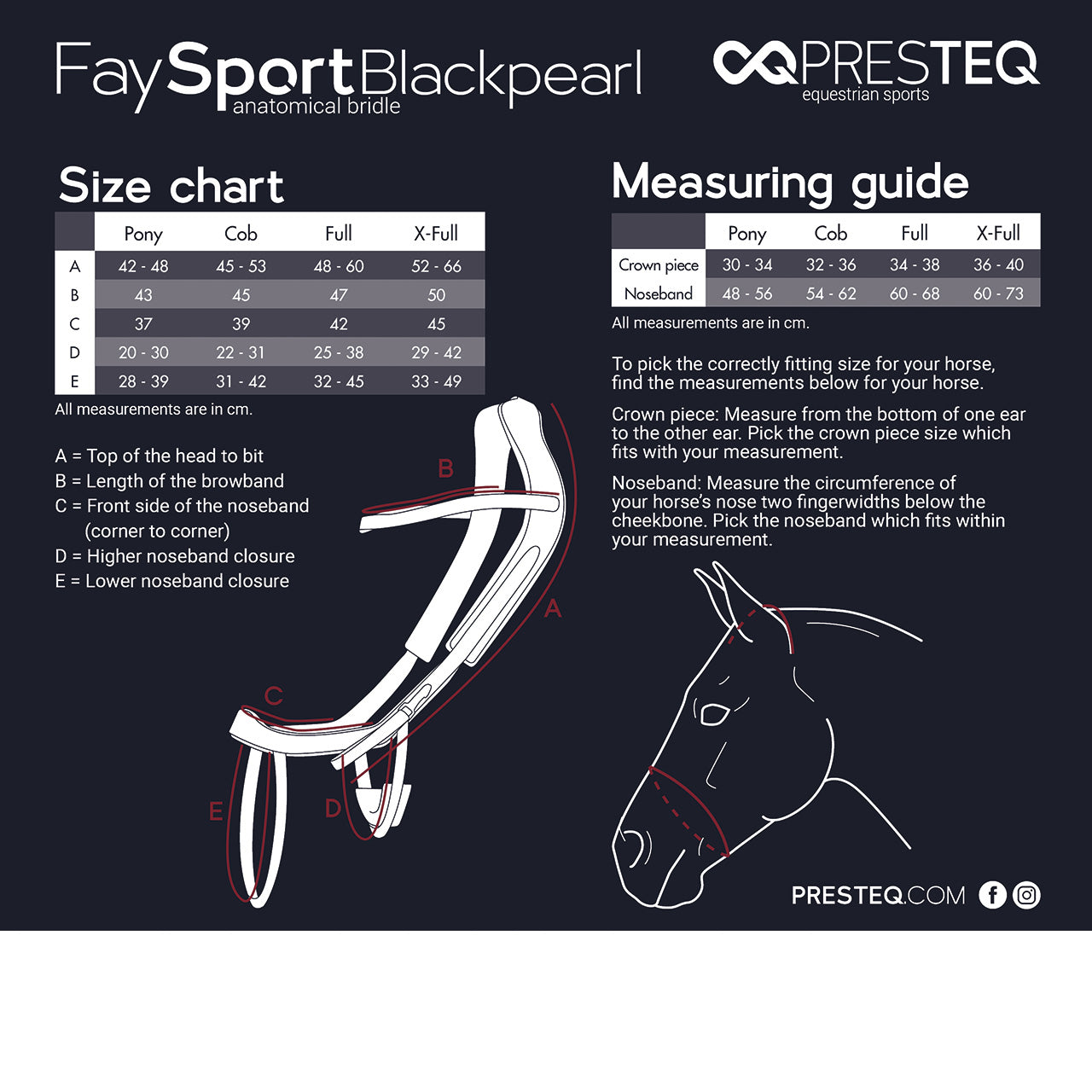 QHP Bridle FaySport Blackpearl