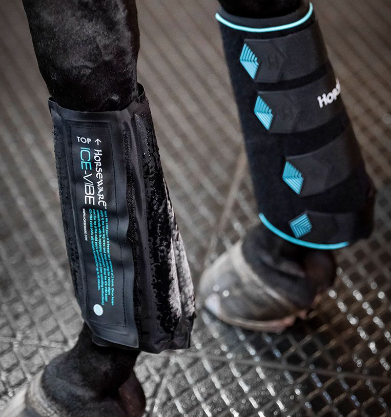 Horseware Ice Vibe
