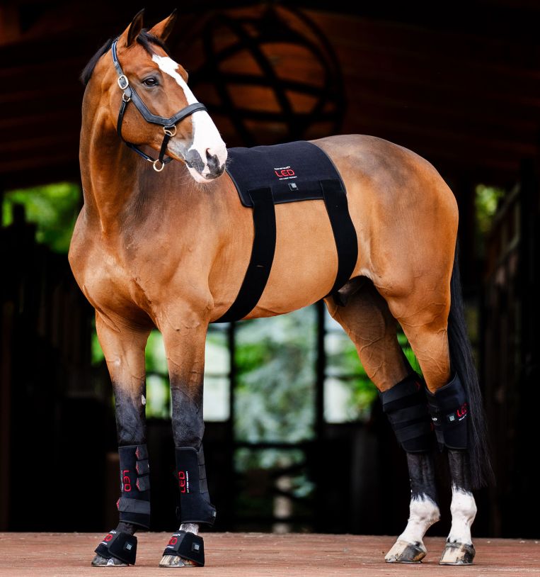 Horseware® LED Red Light Therapy Leg Wrap