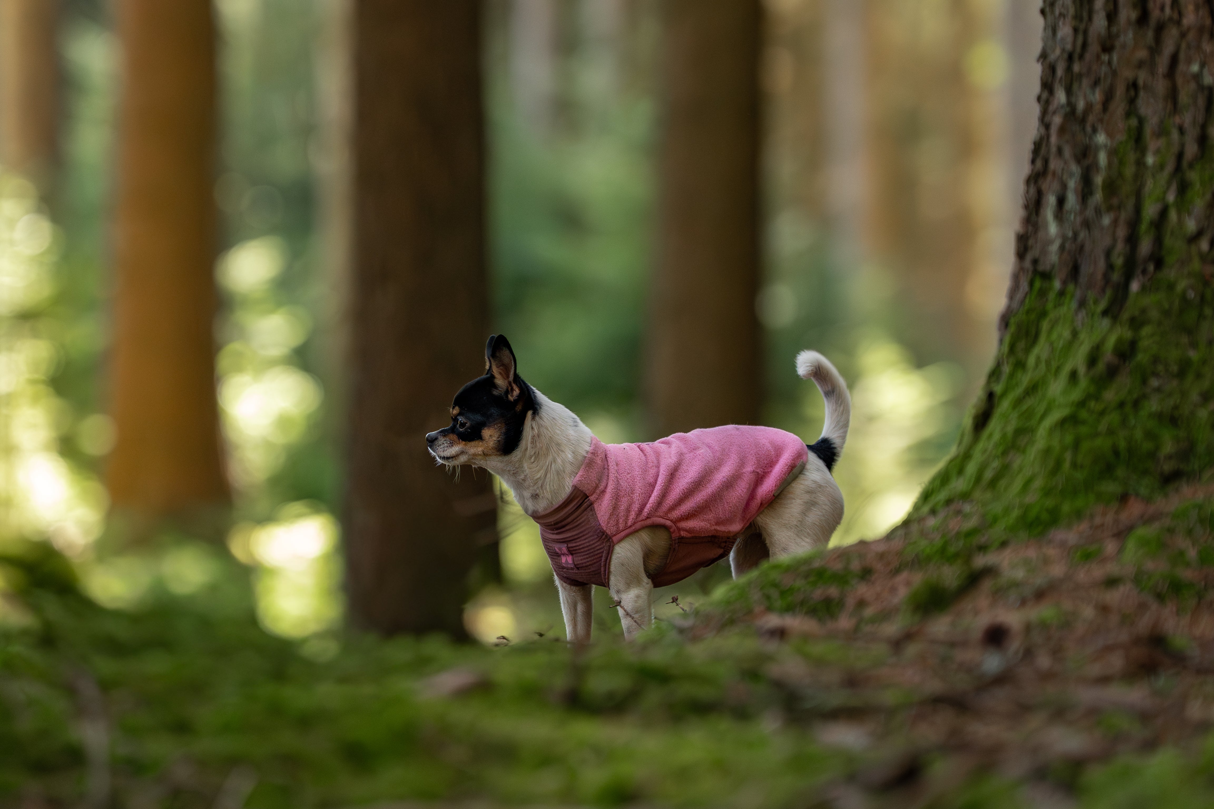 Non-Stop Trail Quest Fleece Pullover