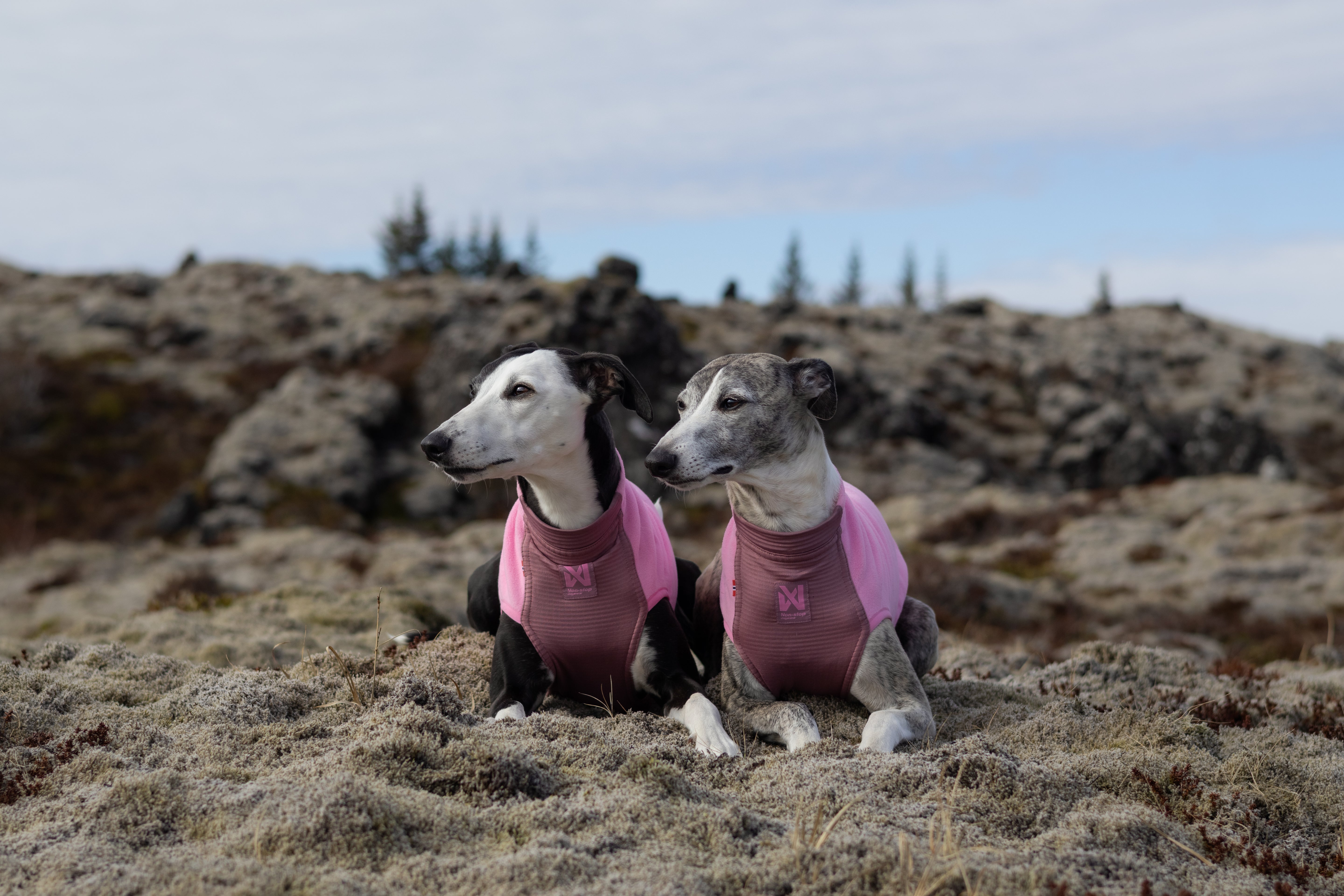 Non-Stop Trail Quest Fleece Pullover