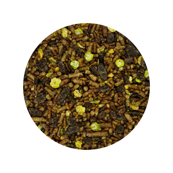 Dodson & Horrell Triple Action Low Starch