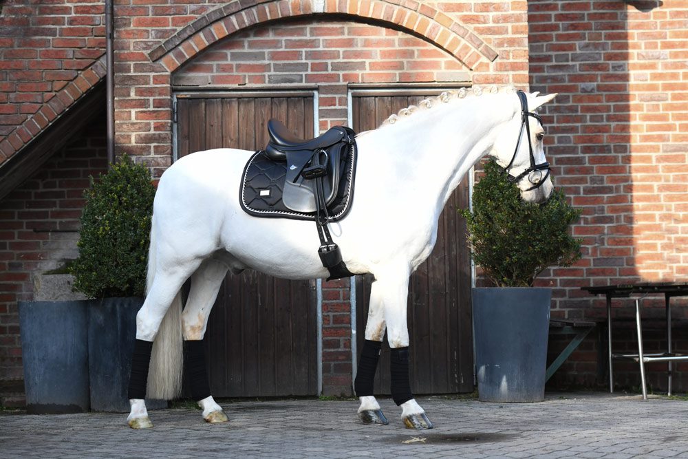 Equestrian Stockholm Black Edition Dressurunderlag