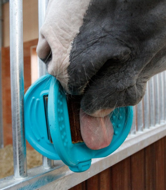 Bizzy Horse Ball