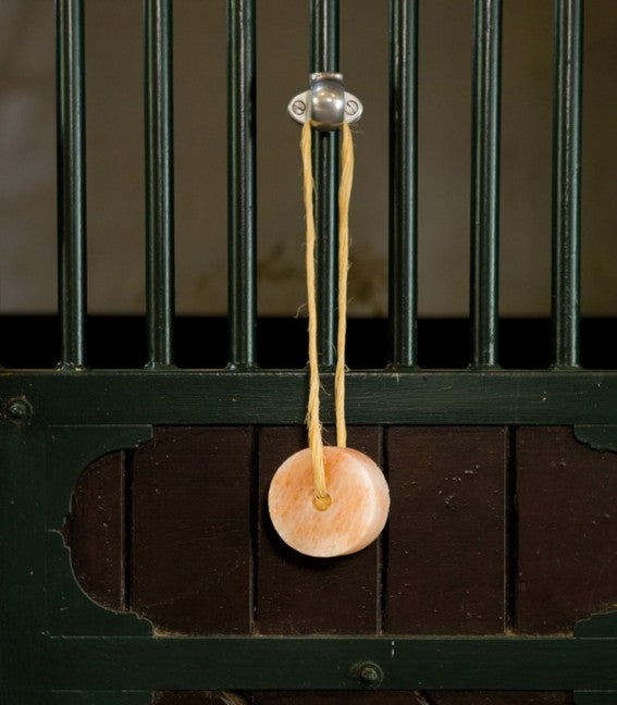Waldhausen Holder til hønet