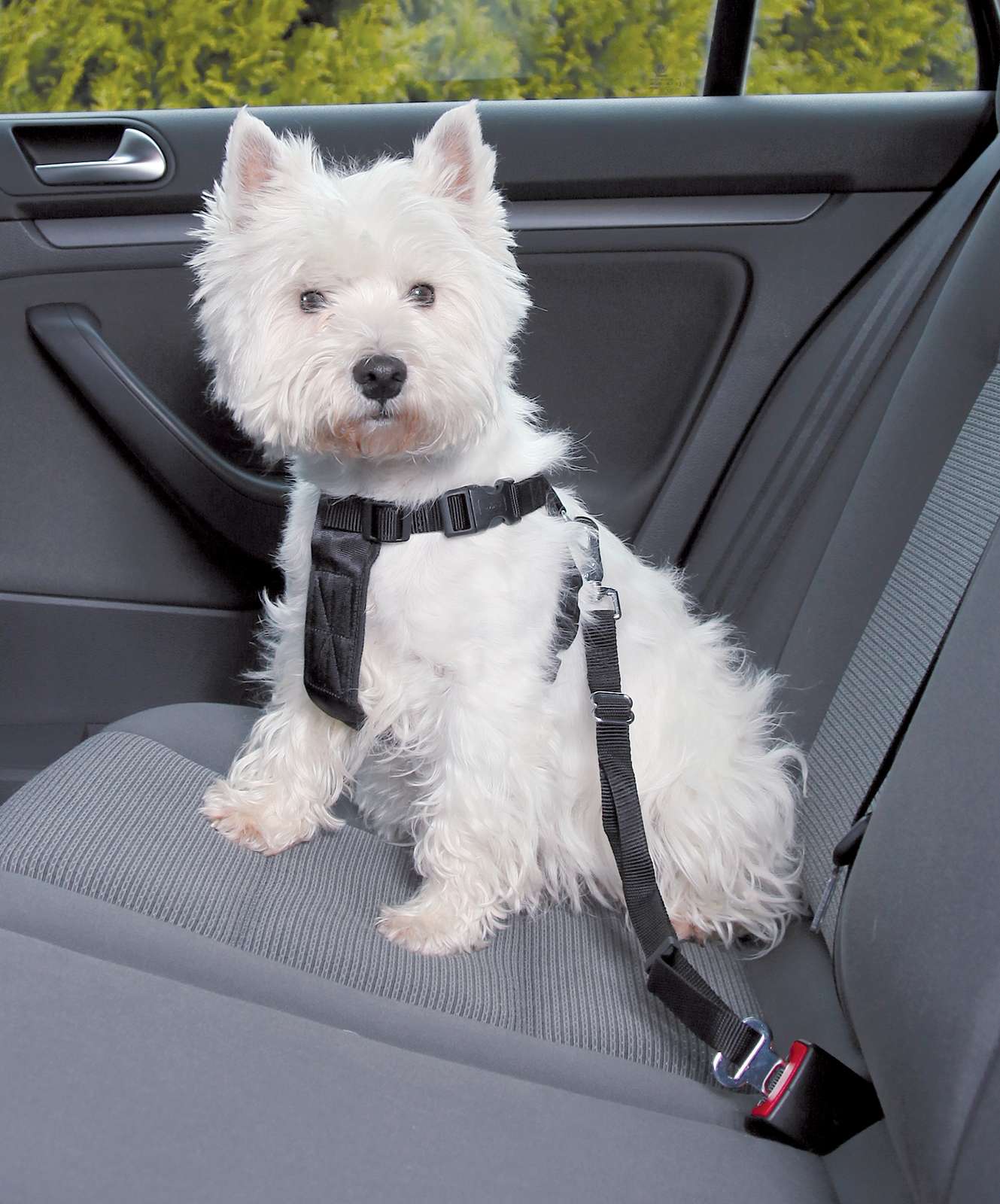 Trixie Bilsele til hund