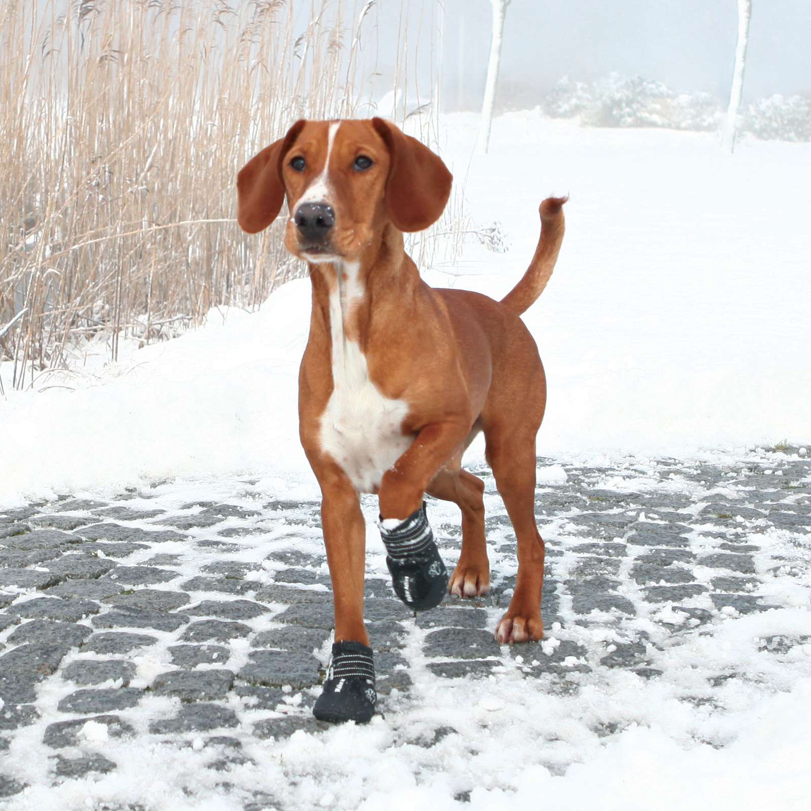 Trixie Walker Active Hundestøvler