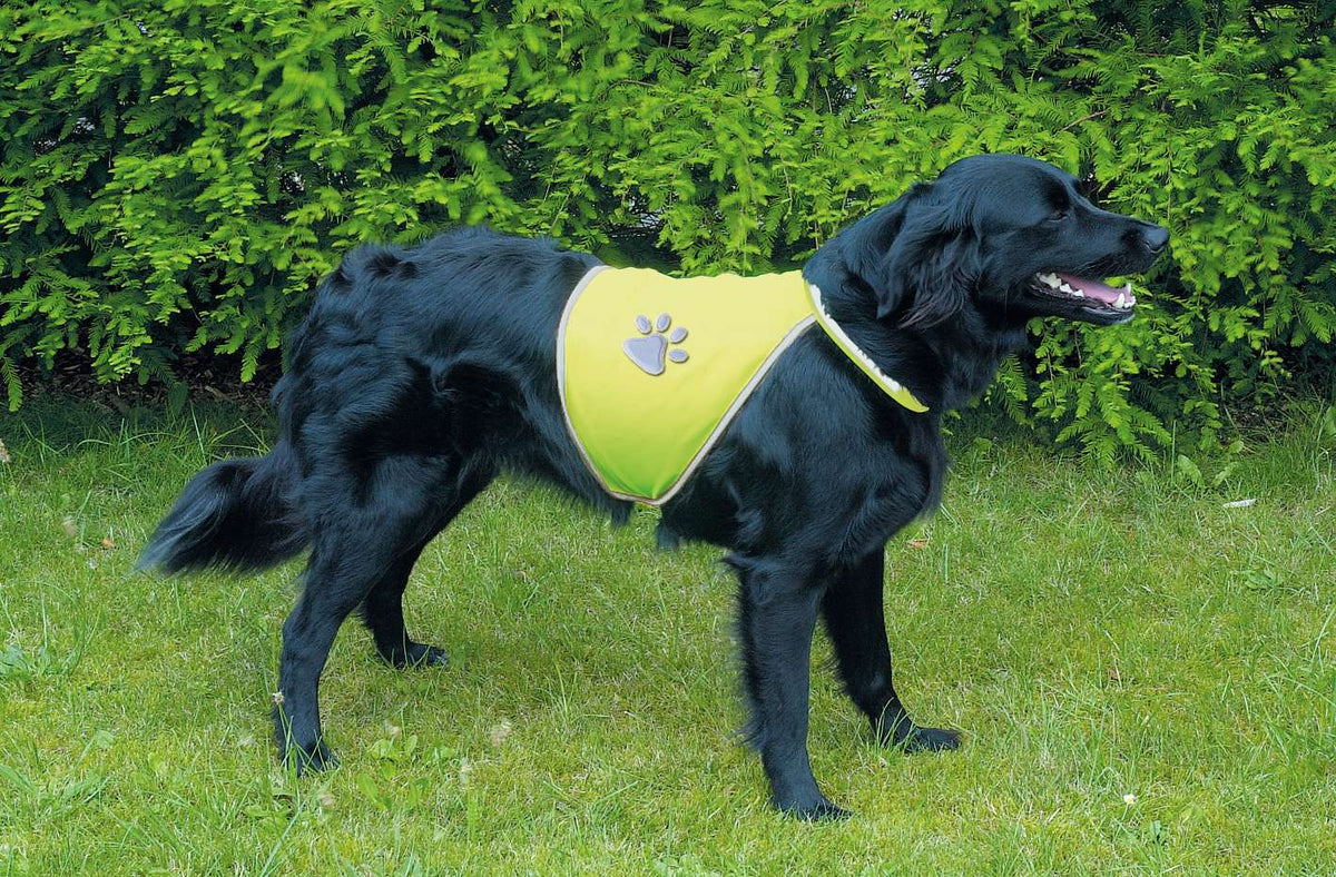 Trixie Sikkerhedsvest til hund