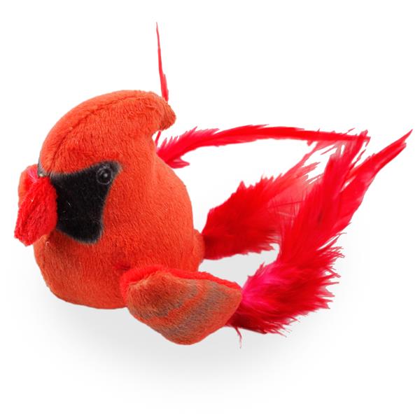 AFP Bouncing Bird