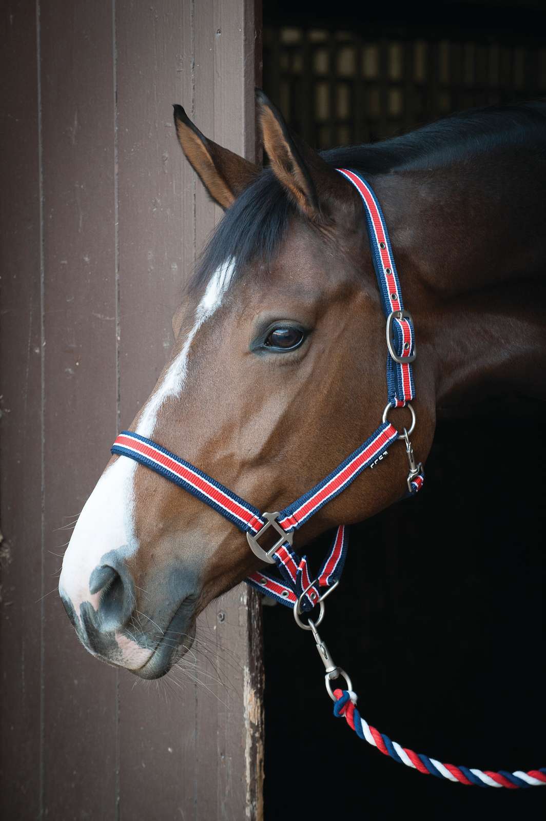 HorseGuard Grime stribet