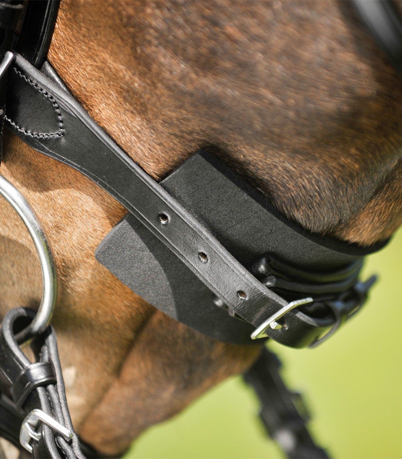 Waldhausen Pad Til Trense