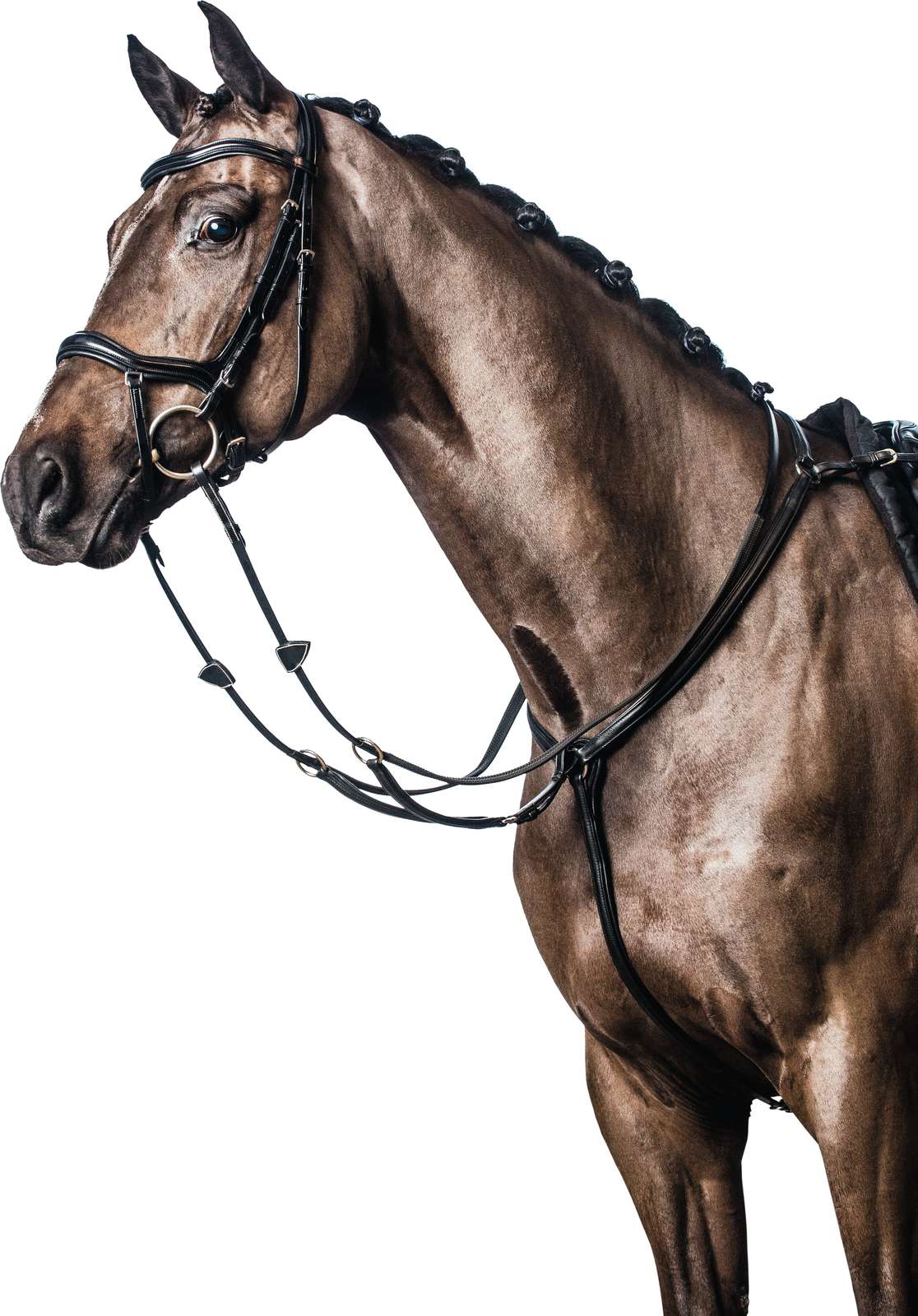HorseGuard Fortøj med Martingal - OUTLET
