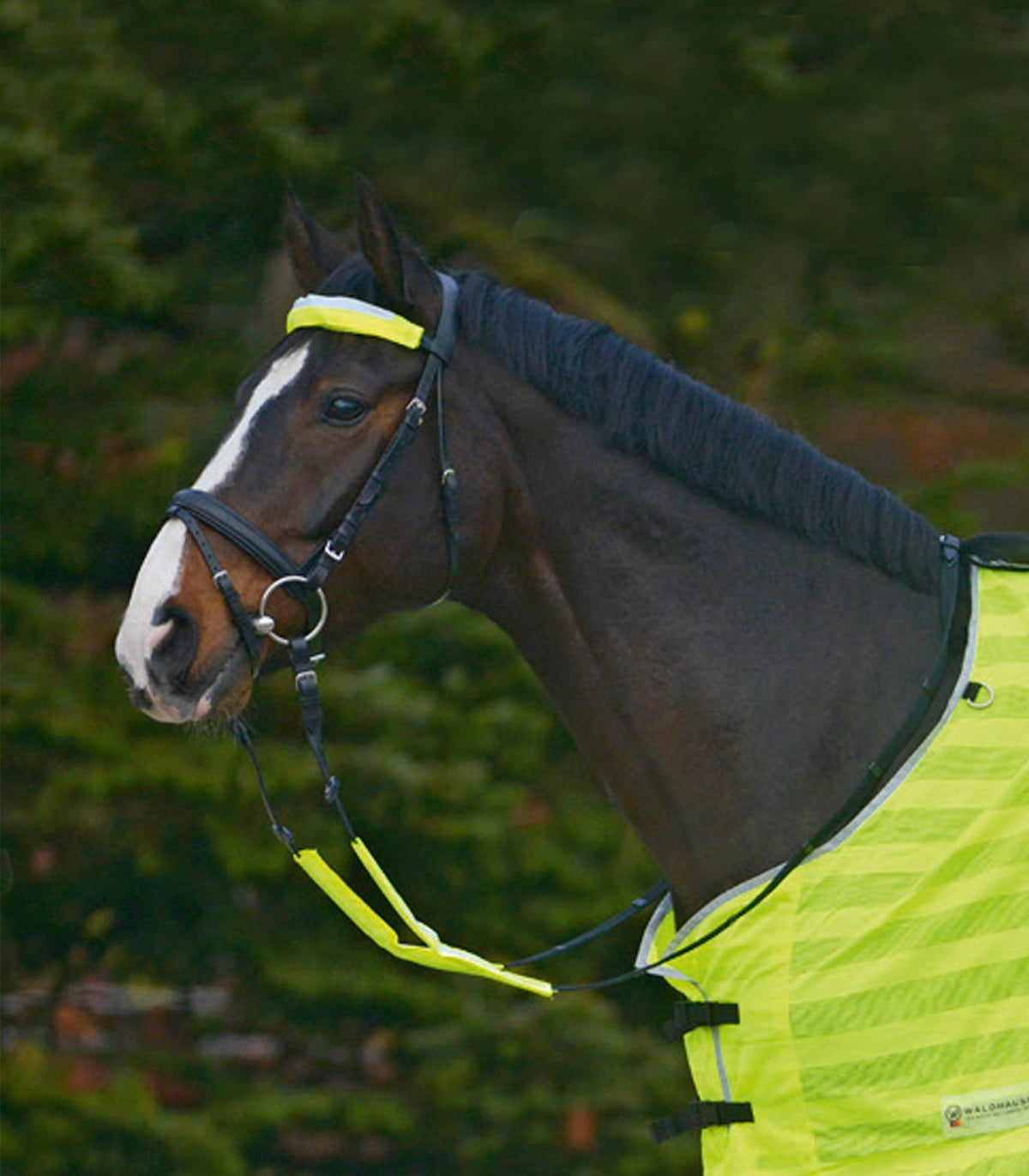 Waldhausen Reflex Bridle-Set