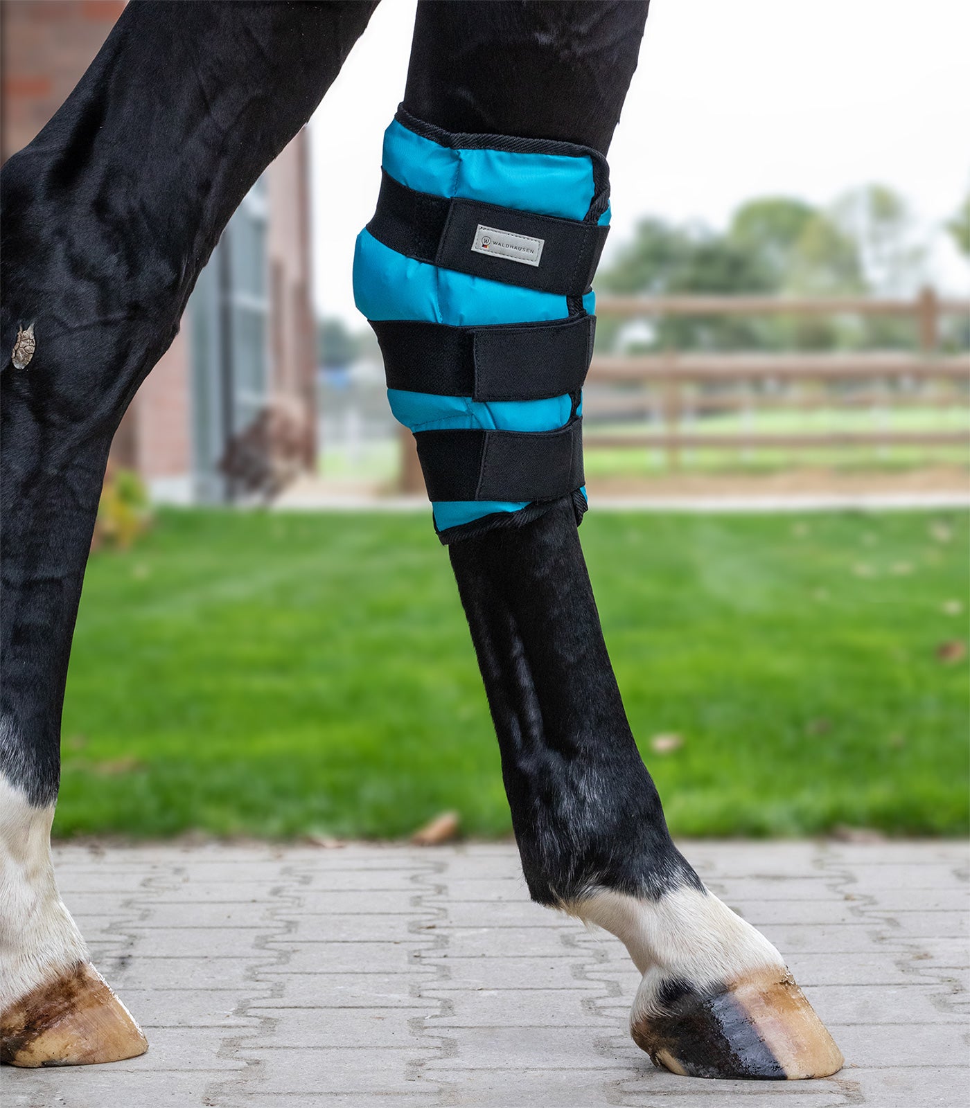 Waldhausen Ankle Ice boot gel