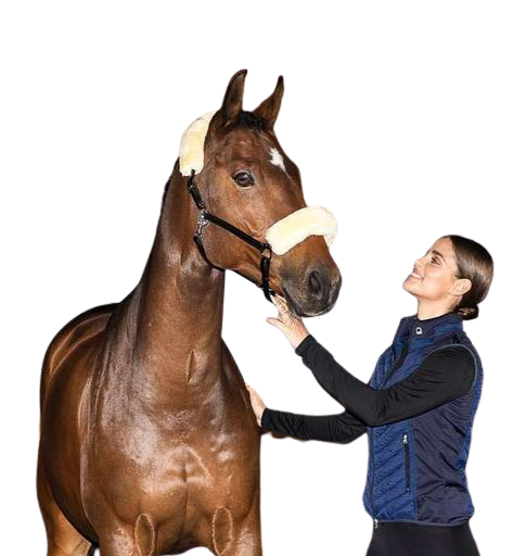 HorseGuard Grimeovertræk