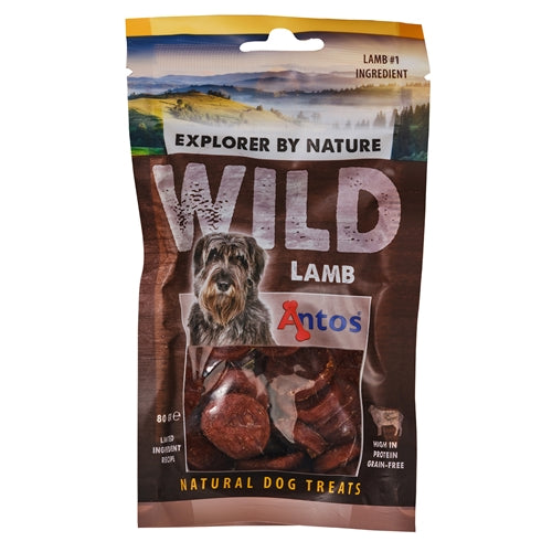 Wild Lamb