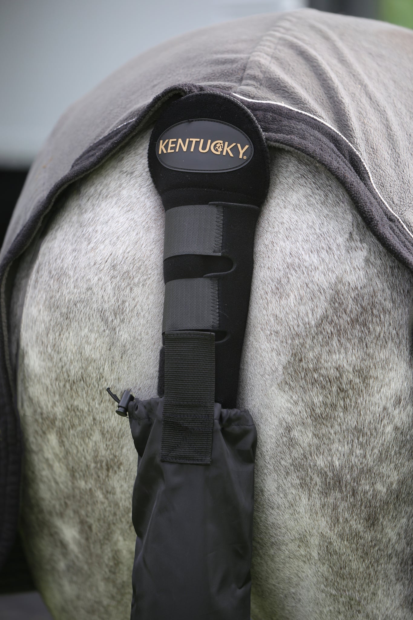 Kentucky Tail Guard