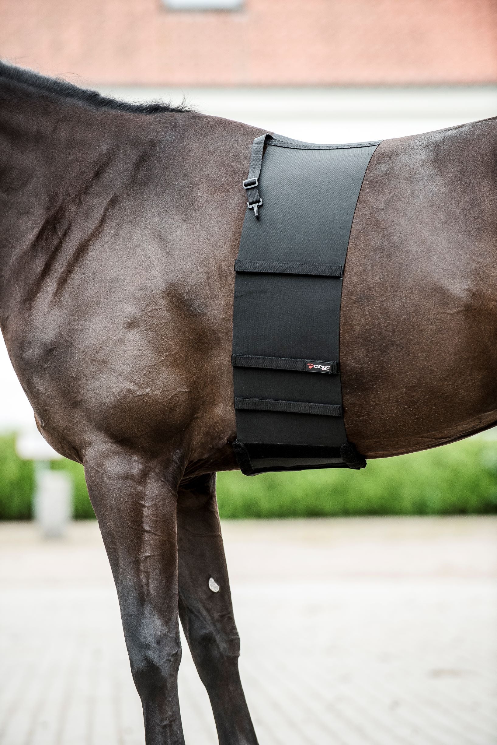 Catago Body Shield