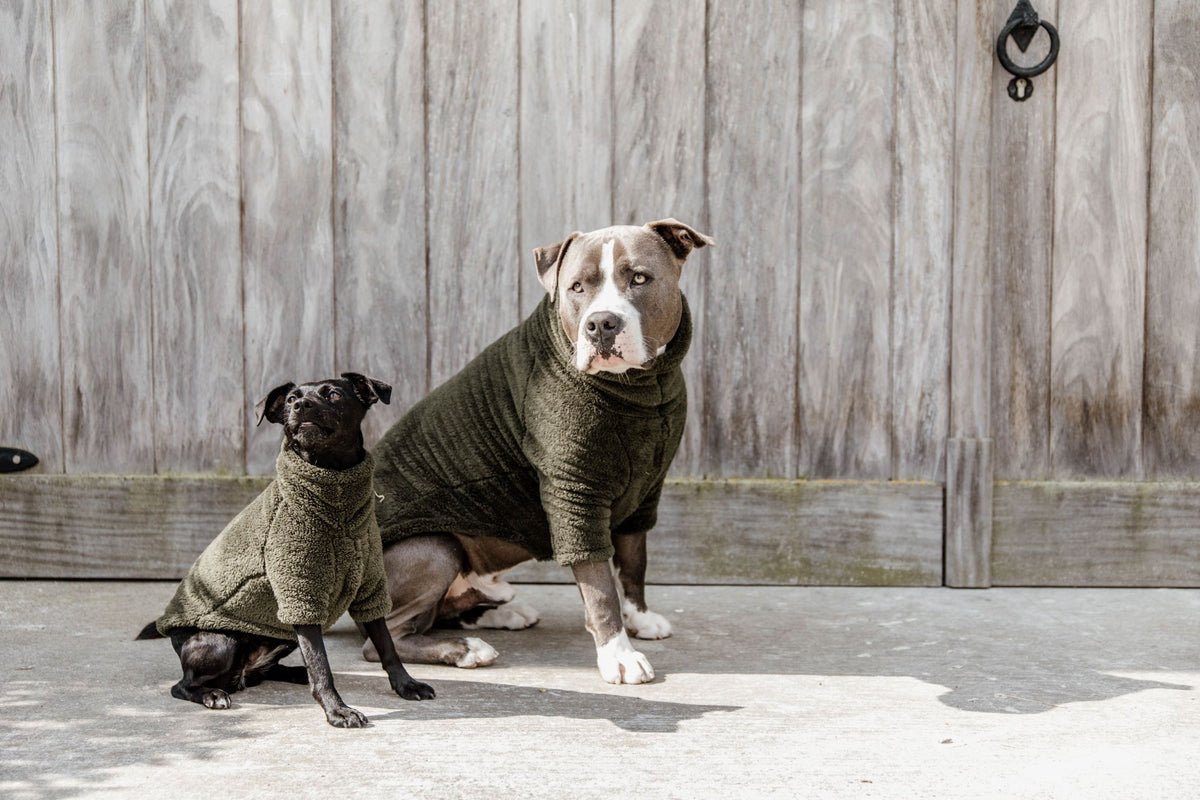 Kentucky Hundetrøje Teddy Fleece
