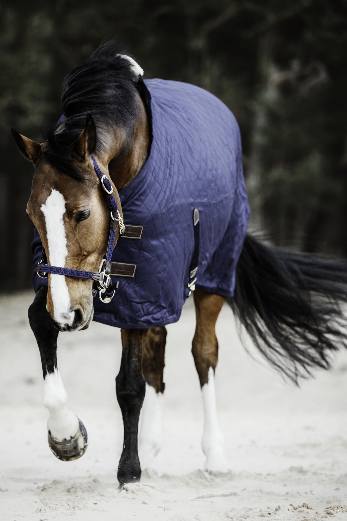 Kentucky Stable Rug 0g.