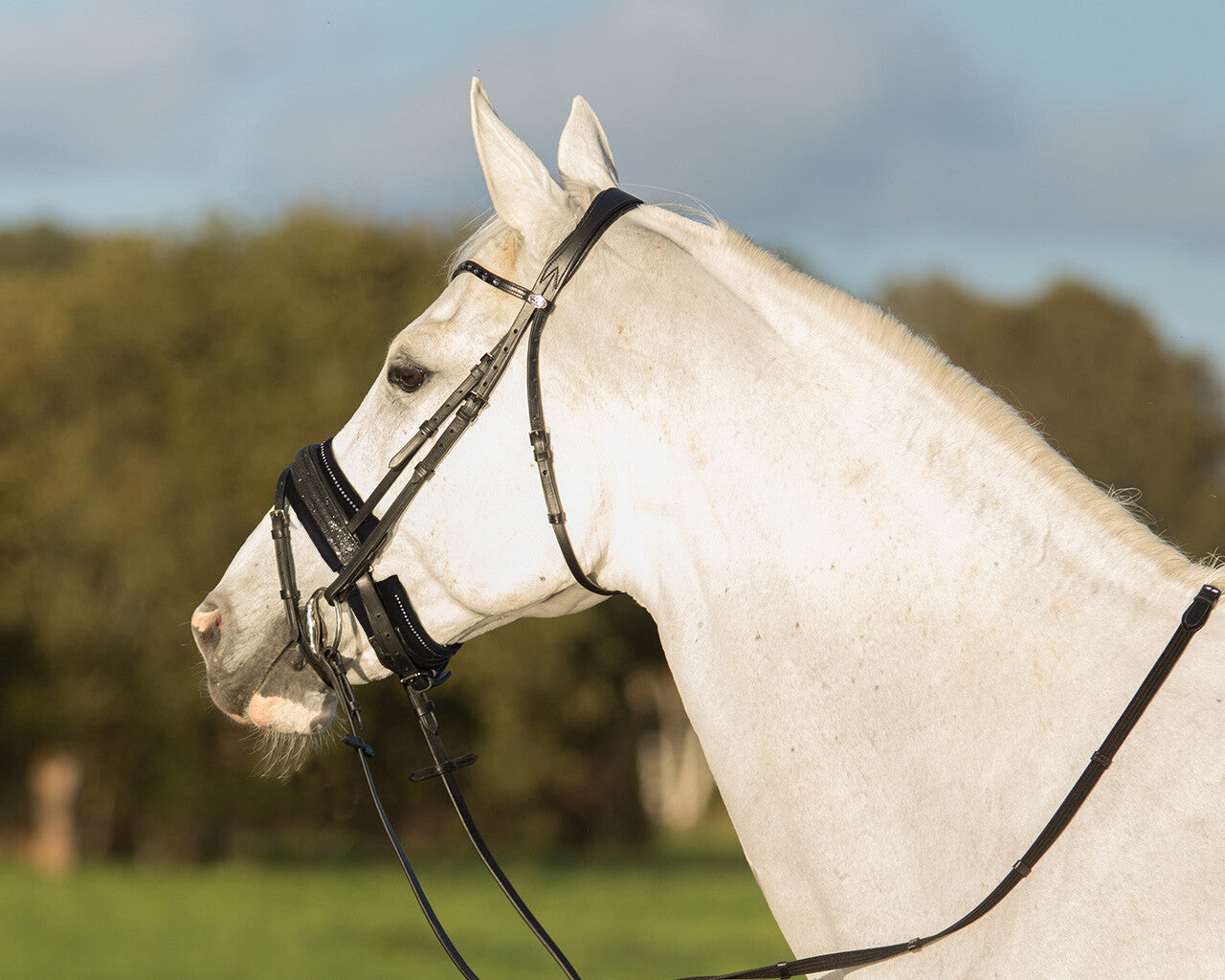 QHP Chin Pad Madelon