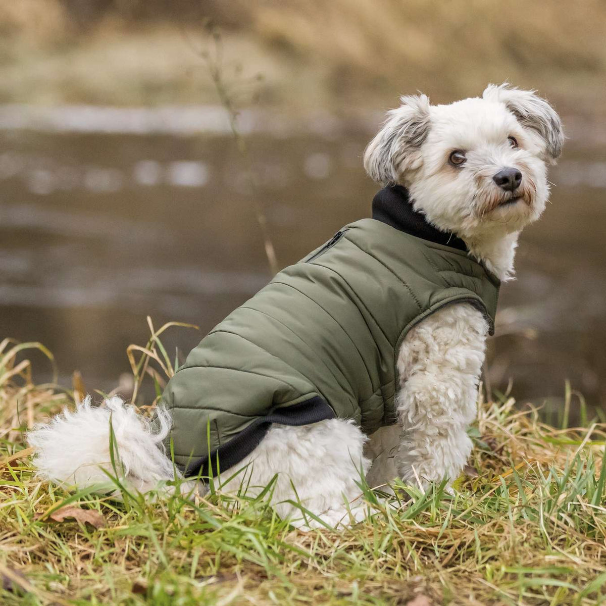 Trixie Arlay hundefrakke - OUTLET