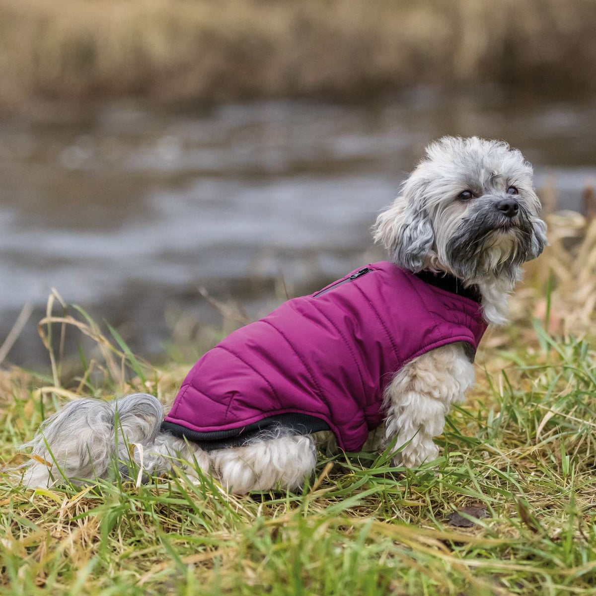 Trixie Arlay hundefrakke - OUTLET