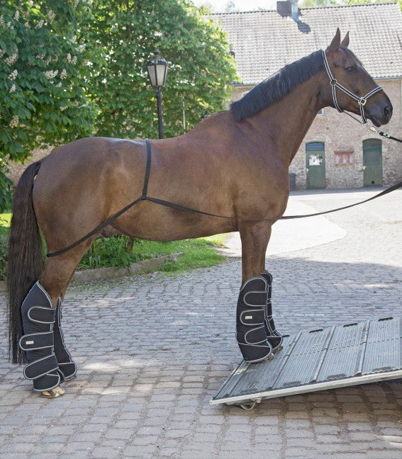 Waldhausen Læssetov