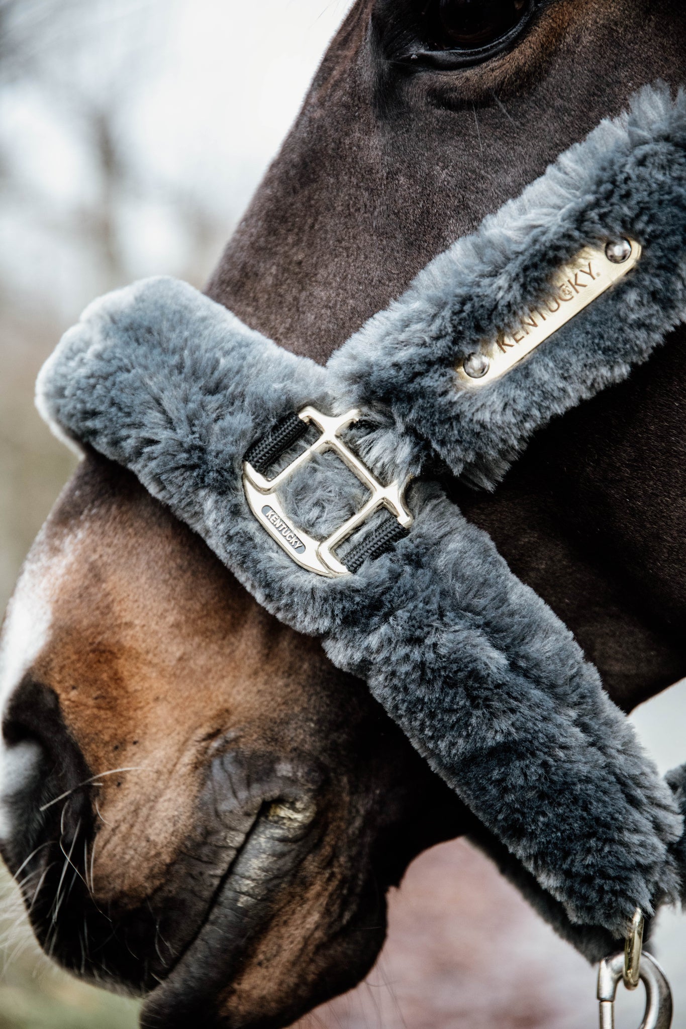 Kentucky Sheepskin Shipping Grime