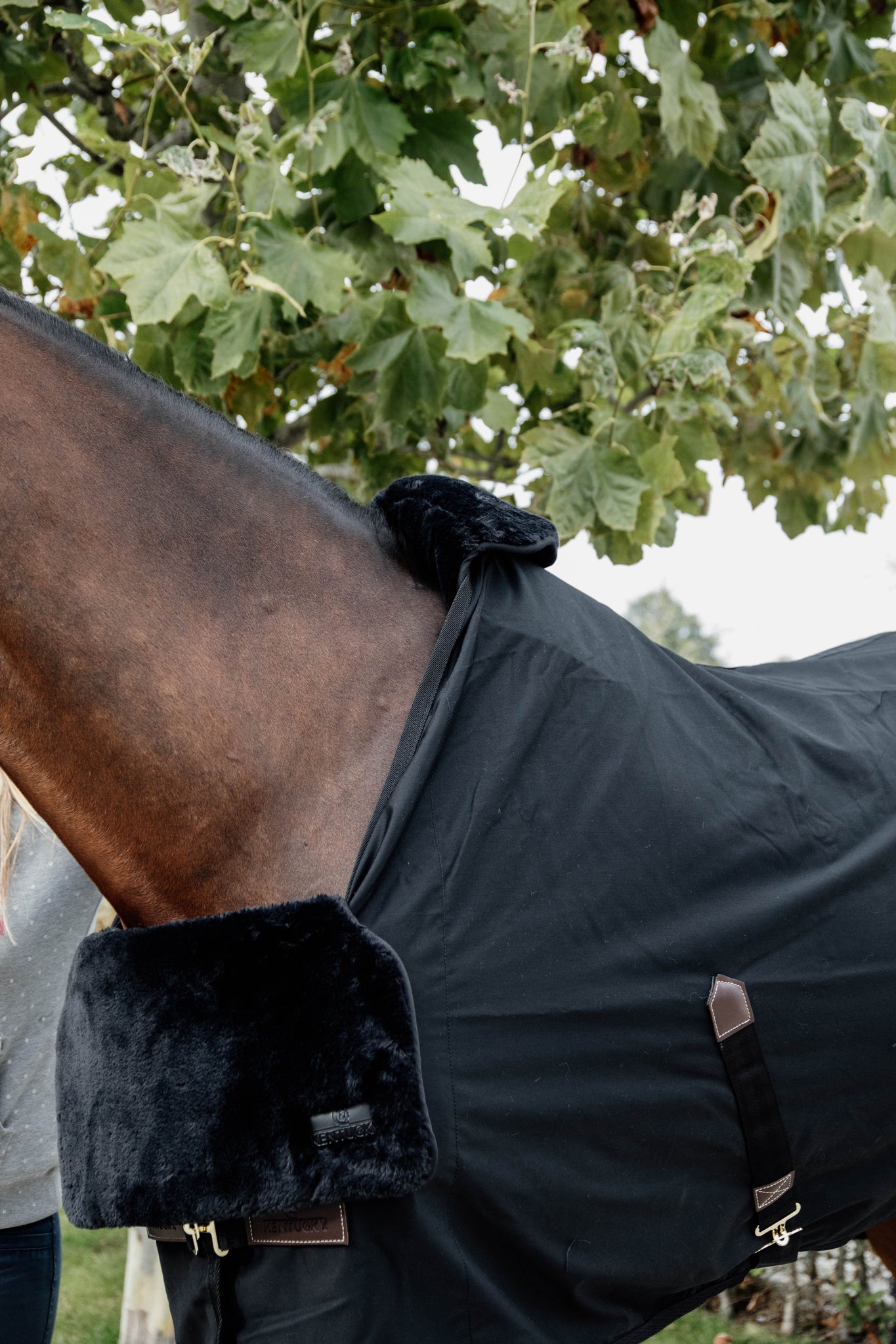 Kentucky Horse BIB Chest Protection Sheepskin Black