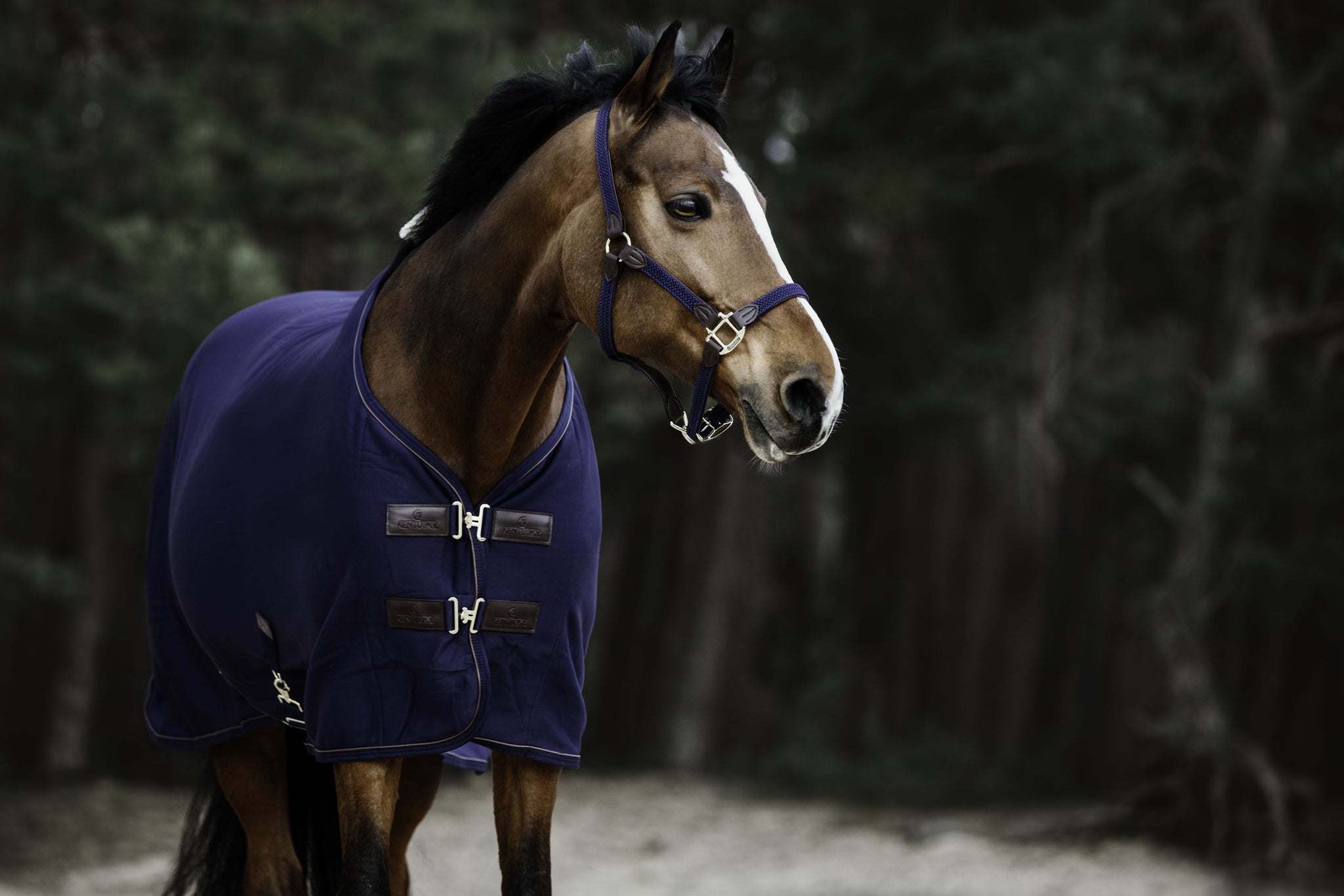 Kentucky Cooler Fleece Rug